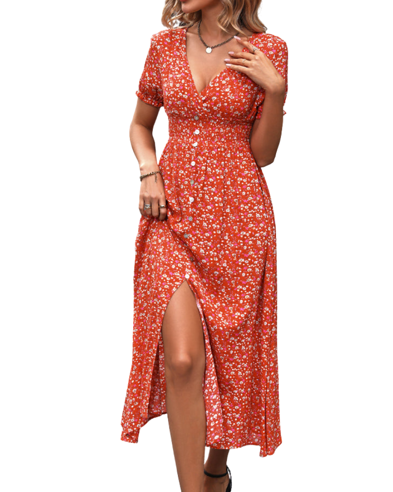 Women’s V-Neck Short Sleeve Printed Smocked Maxi Dress